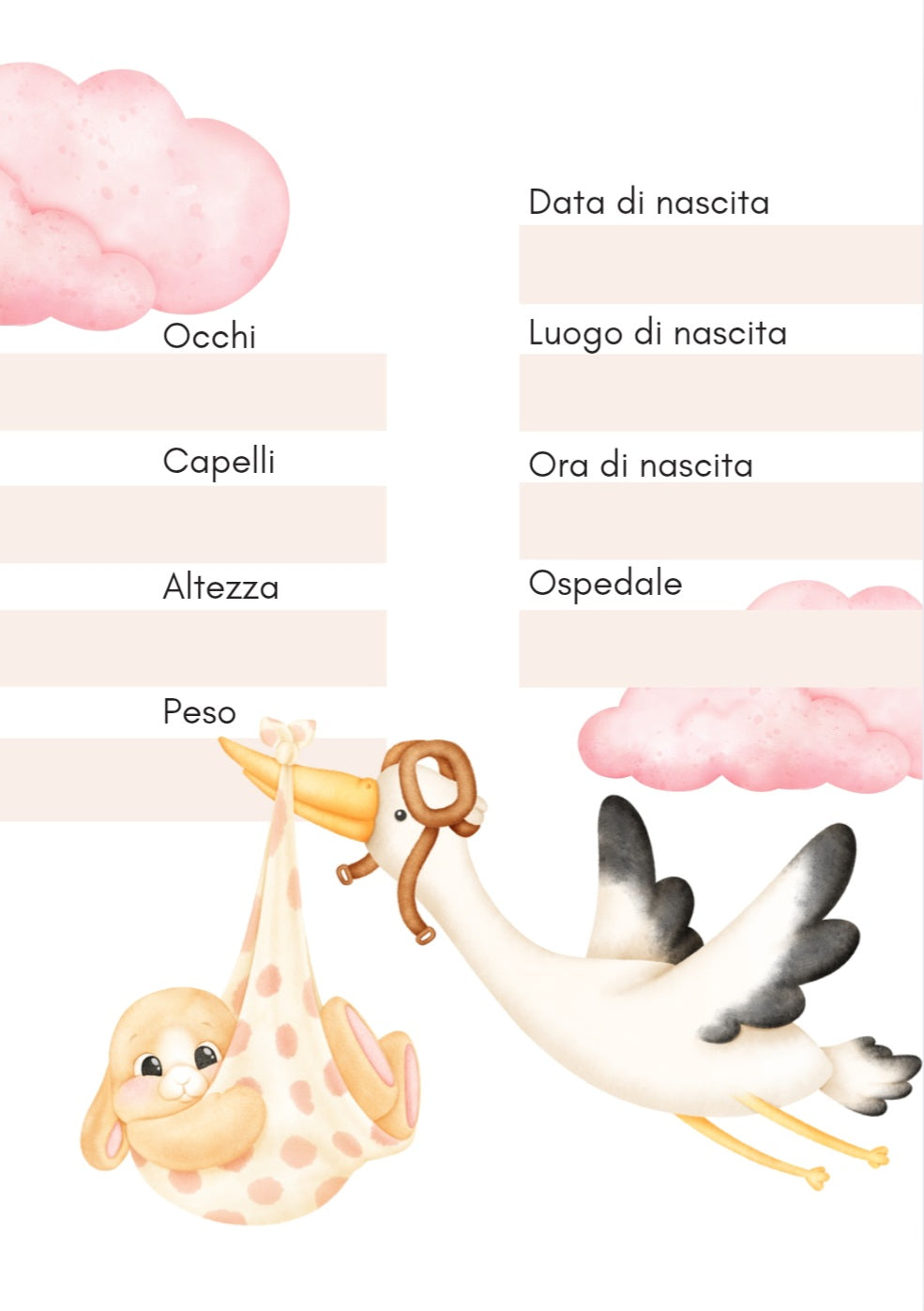 Libro Penelope