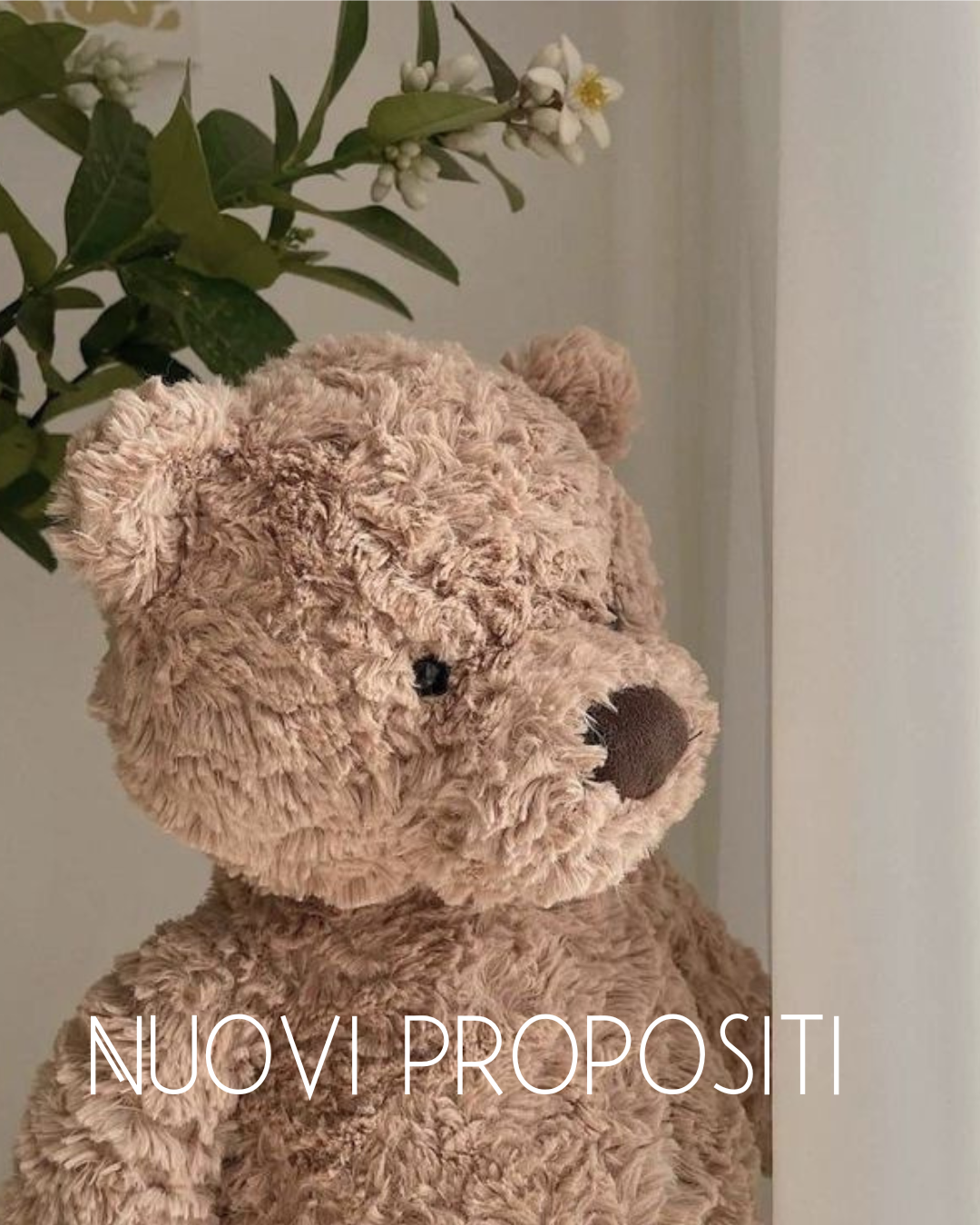 Nuovi propositi 2026